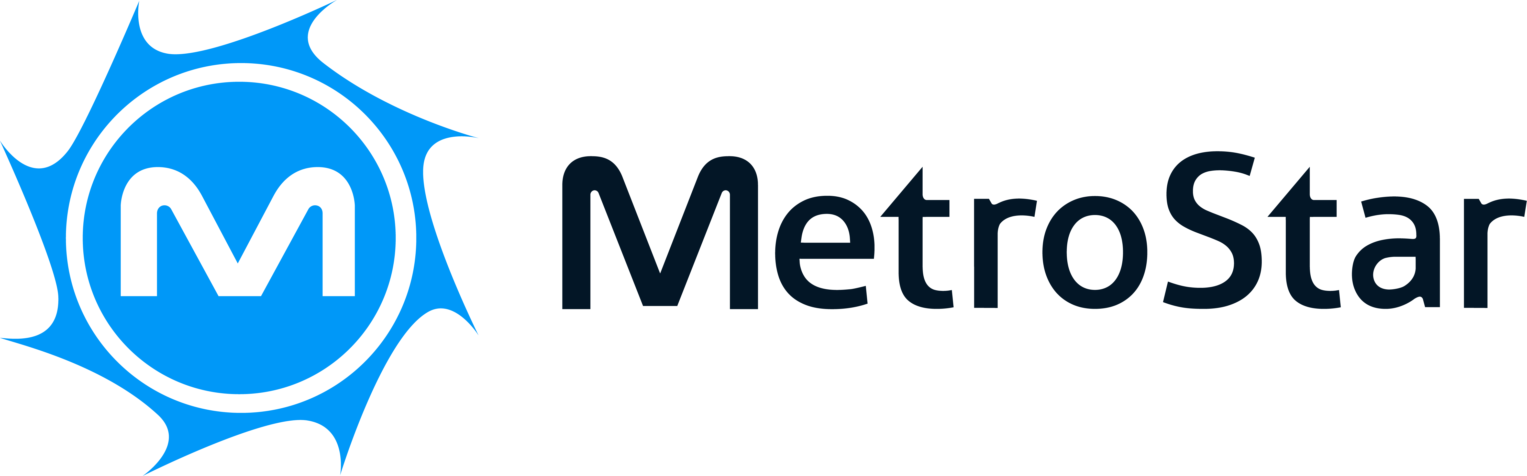 MetroStar LLC
